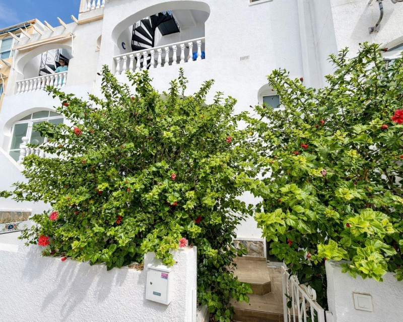 Apartamento / piso · Reventa · San Miguel de Salinas · Las filipinas