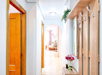 Apartments - Bruktbolig - Torrevieja - Parque las naciones