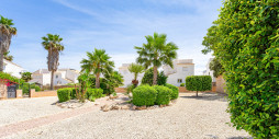 Återförsäljning - Apartamento - Torrevieja - Punta Prima