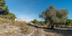 Återförsäljning - Country house - Pilar de la Horadada - Pinar de la Perdiz