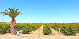 Återförsäljning - Lägenhet / lägenhet - Torrevieja - Los Balcones - Los Altos del Edén