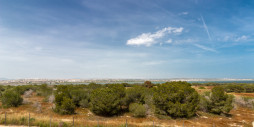 Återförsäljning - Lägenhet / lägenhet - Torrevieja - San Luis