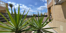 Återförsäljning - Lägenhet / lägenhet - Torrevieja