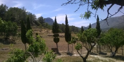 Återförsäljning - Land - Benissa - Benissa Centro