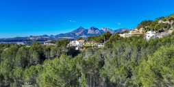Återförsäljning - Land - Callosa d'en Sarria - Callosa d'en Sarria Centro