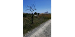 Återförsäljning - Land - Calpe - Calpe Centro