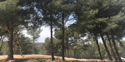 Återförsäljning - Land - Teulada - Moraira
