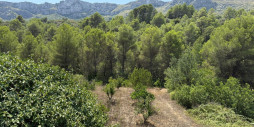 Återförsäljning - Land - Vall de Gallinera - Beniali