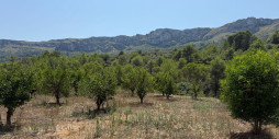 Återförsäljning - Land - Vall de Gallinera - Beniali