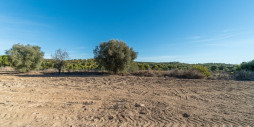 Bruktbolig - Country house - Pilar de la Horadada - Pinar de la Perdiz