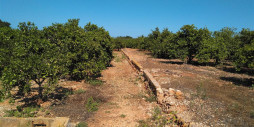 Bruktbolig - Land - Ondara - Ondara Centro