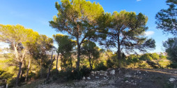 Bruktbolig - Land - Teulada - Teulada Centro