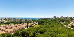 Bruktbolig - Leilighet / leilighet - Campoamor - Dehesa de Campoamor