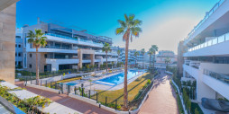 Bruktbolig - Leilighet / leilighet - Orihuela Costa - Playa Flamenca