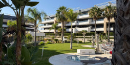 Bruktbolig - Leilighet / leilighet - Orihuela Costa - Playa Flamenca