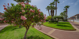 Bruktbolig - Leilighet / leilighet - Playa Flamenca - Zenia Mar