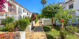 Bruktbolig - Leilighet / leilighet - Torrevieja - Los Balcones - Los Altos del Edén