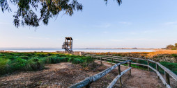 Bruktbolig - Leilighet / leilighet - Torrevieja - San Luis