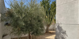 Bruktbolig - Villa - San Miguel de Salinas - BLUE LAGOON