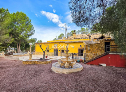 Cave house - Bruktbolig - Pinoso - Pinoso Centro