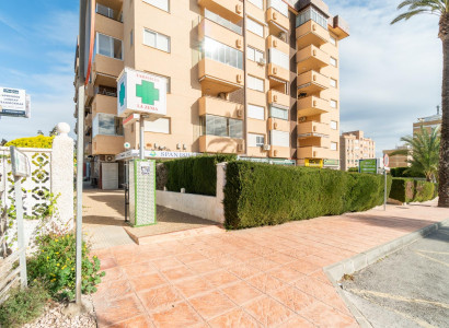 Comercial - Alquiler a largo plazo - Orihuela Costa - La Zenia