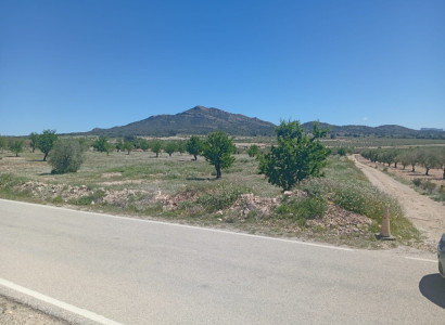 Land - Återförsäljning - Salinas - Salinas Centro
