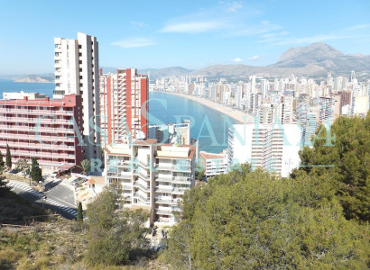 Land - Bruktbolig - Benidorm - Benidorm Centro