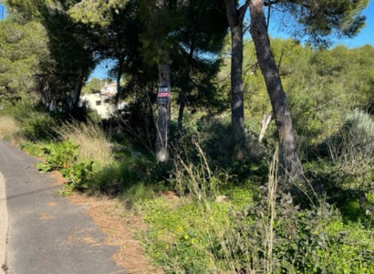 Land - Bruktbolig - Jávea - Jávea - Xàbia Centro