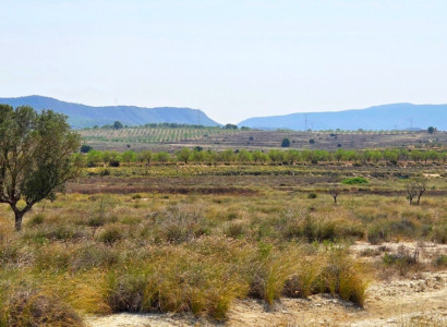 Land - Bruktbolig - San Miguel de Salinas - San Miguel de Salinas Centro