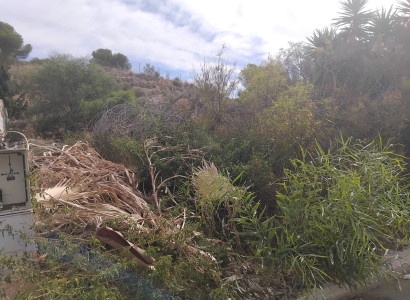 Land - Resale - Algorfa - Algorfa Centro