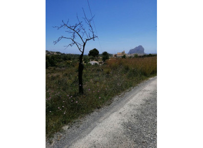 Land - Resale - Calpe - Calpe Centro