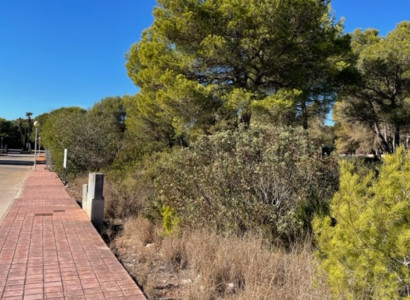 Land - Resale - Jávea - Jávea - Xàbia Centro