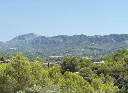 Land - Resale - Vall de Gallinera - Beniali