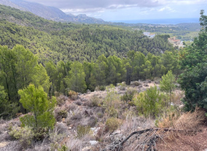 Land - Reventa - Callosa d'en Sarria - Callosa d'en Sarria Centro