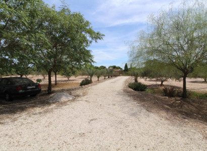 Land - Reventa - Elche - Elche Centro