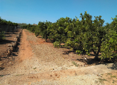 Land - Reventa - Ondara - Ondara Centro
