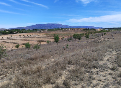Land - Reventa - Pinoso - Pinoso Centro