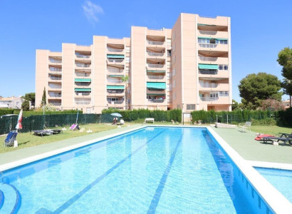 Leilighet / leilighet - Bruktbolig - Orihuela Costa - La Zenia