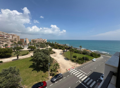 Leilighet / leilighet - Bruktbolig - Torrevieja - Torrevieja Centro