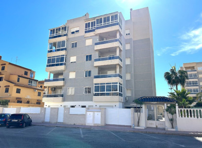 Leilighet / leilighet - Nybygg - Torrevieja - Torrevieja Centro
