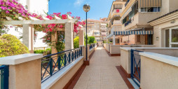 Long time Rental - Apartment / flat - Torrevieja - La Mata