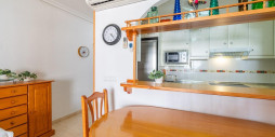 Long time Rental - Apartment / flat - Torrevieja - La Mata