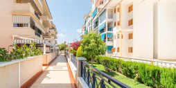 Long time Rental - Apartment / flat - Torrevieja - La Mata