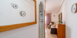 Long time Rental - Apartment / flat - Torrevieja - La Mata