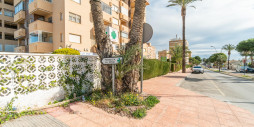 Long time Rental - Kommersiell - Orihuela Costa - La Zenia
