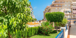 Long time Rental - Leilighet / leilighet - Torrevieja - La Mata
