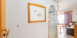 Long time Rental - Leilighet / leilighet - Torrevieja - La Mata