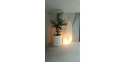 New Build - Apartment / flat - l'Alfas del Pi - L'Albir