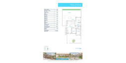 New Build - Apartment / flat - Pilar de la Horadada - Playa de las Higuericas