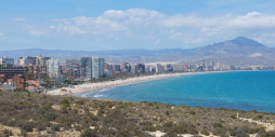 New Build - Apartment / flat - San Juan Alicante - Fran espinos